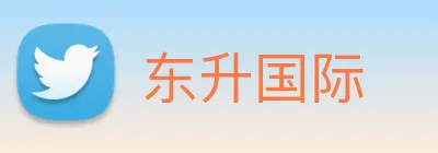 东升国际 Logo